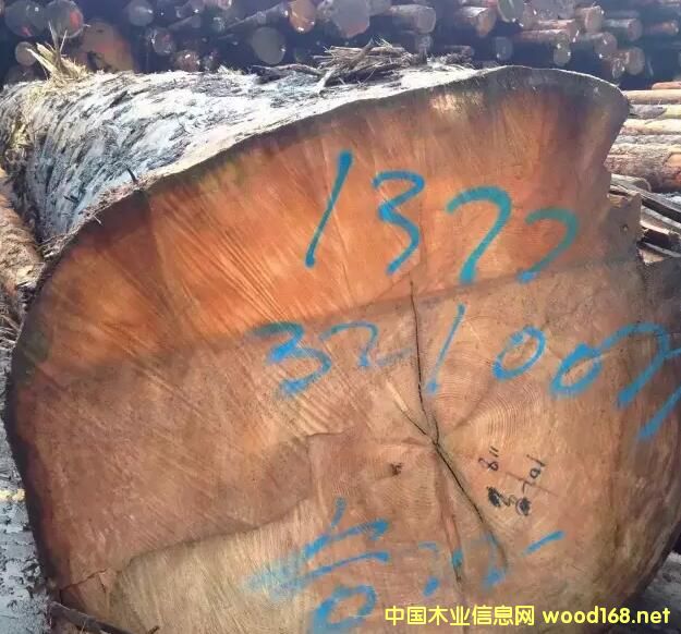 �M(j��n)�ڼ��ô��Fɼ������ԭľ��Ԕ��(x��)��B