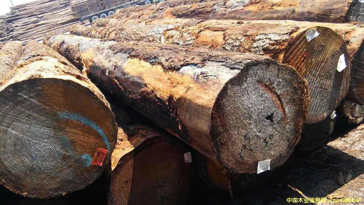 ������ԭľ���󏽱�����