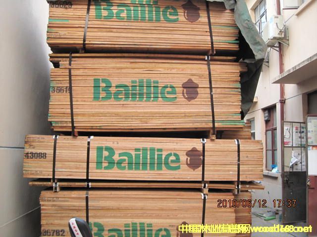 櫻桃木的詳細(xì)介紹