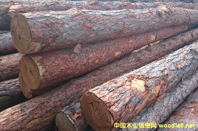 Pine Logs��Ԕ����B