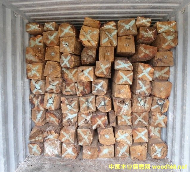 ���T�������̴�M�ڈ��P(gu��n)����