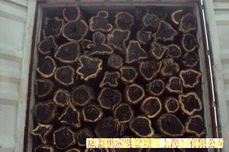 �Ϻ����Ǟ�ľ�M�ڈ��P(gu��n)����