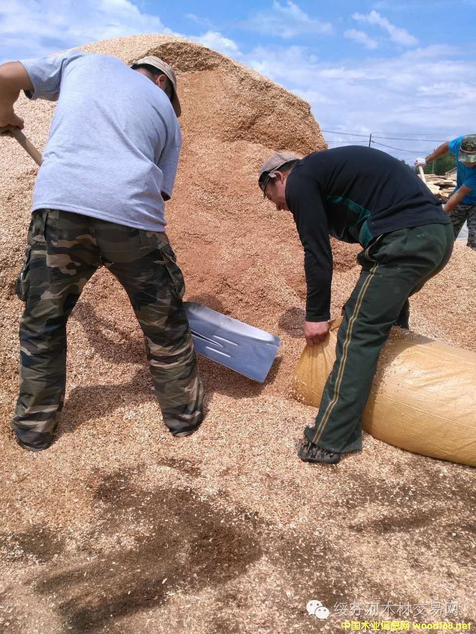 ��ľ����ľʳ�þ��ĩ�w��