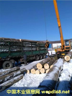 �c���鿴��ľԭľ��Ԕ���Y��