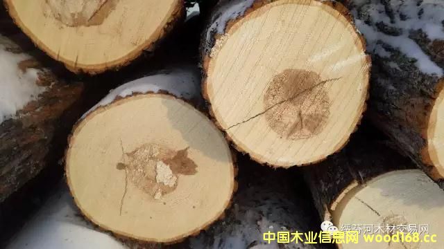 �c(di��n)���鿴�羳��ُ(g��u)���W���ľ�U�P���Ԕ��(x��)�Y��