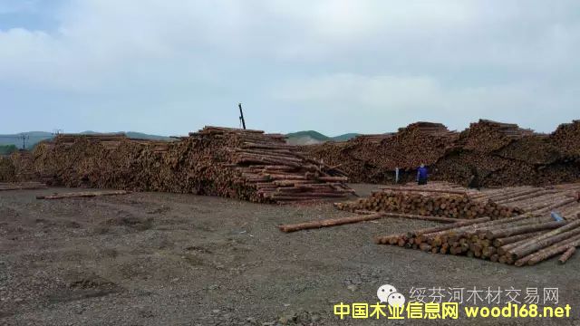 ���~�ə_�l��