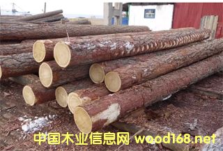 �c���鿴���~��ԭľ��Ԕ���Y��