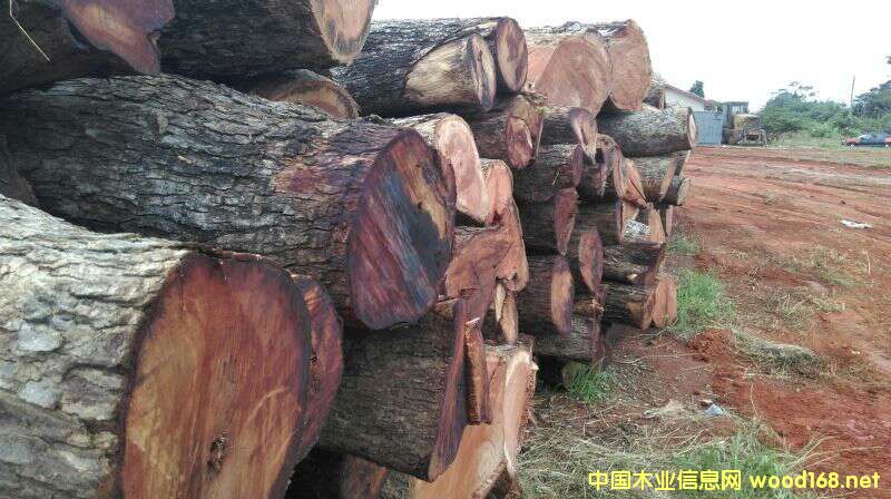 �Ϸ�ľ�ĵ�Ԕ��(x��)��B