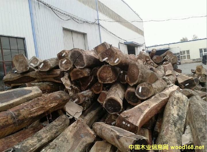 �c(di��n)���鿴����ľ�Ŵ�DƬ