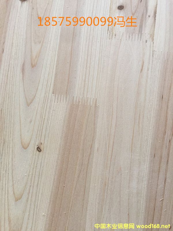 ��ɼľָ�Ӱ�о