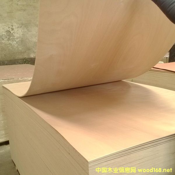 ���B(t��i)�z�ϰ��������z�ϰ������Ӱ�S��ֱ�N(xi��o)