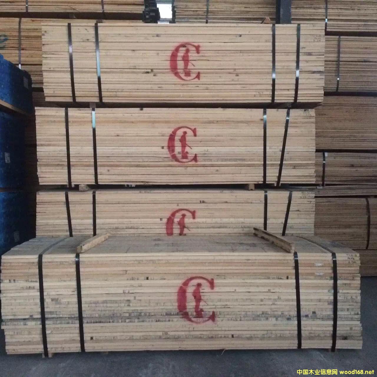 紅橡的詳細(xì)介紹