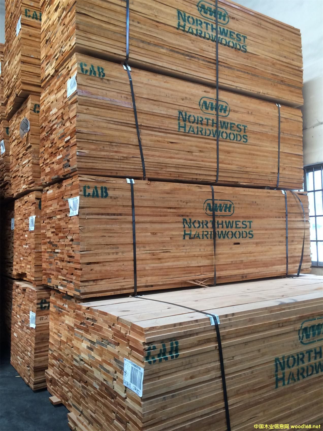 ��������ľ��Ԕ����B