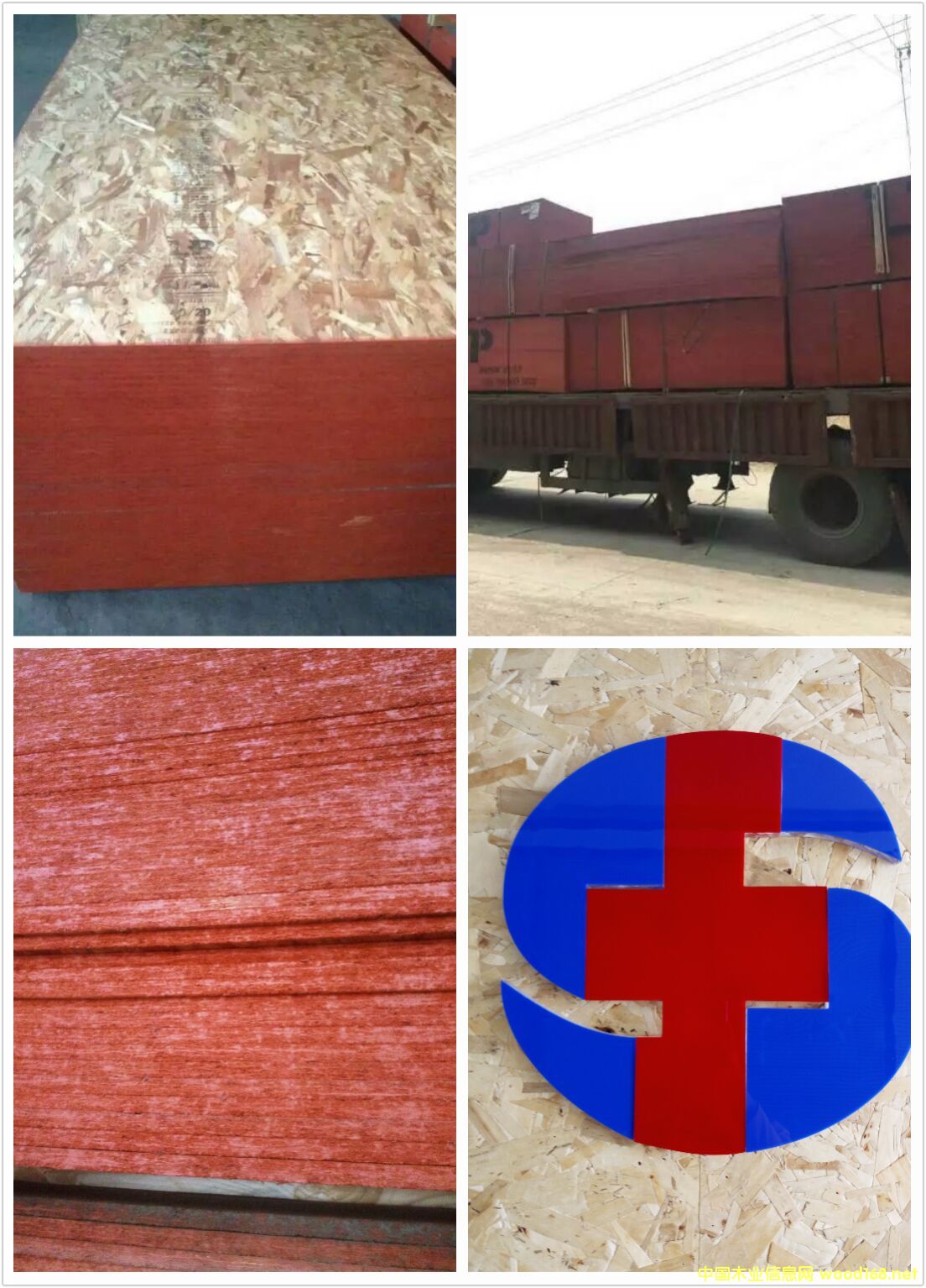 ���ô��M(j��n)�ښW�ɰ�