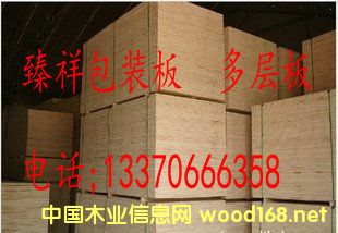 122x244��Ԕ����B