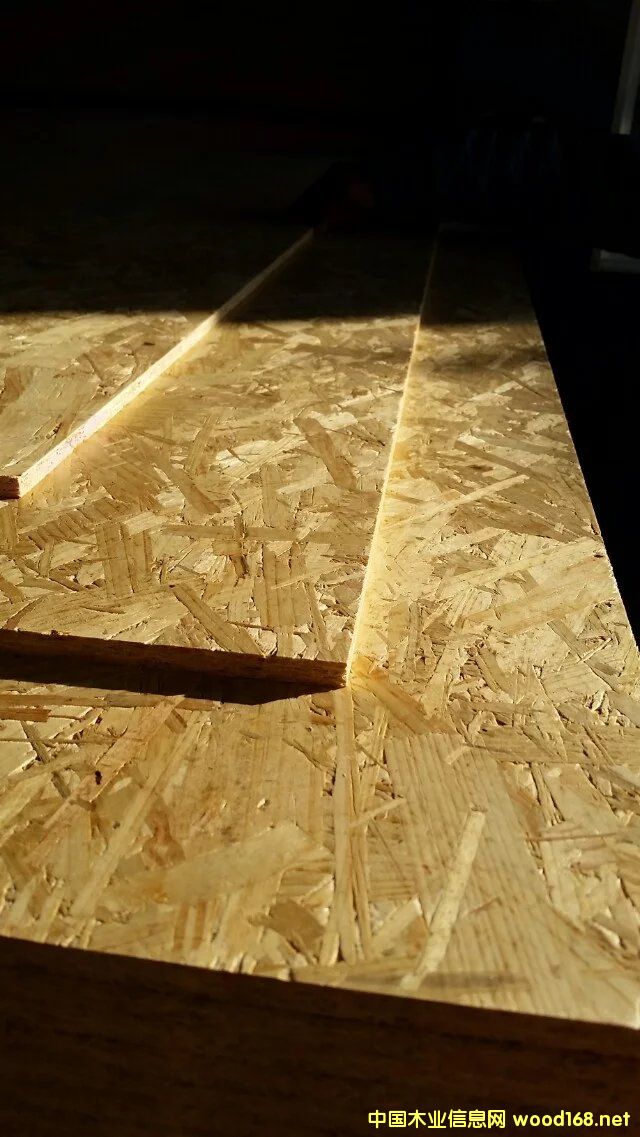 �c���鿴��ľOSB�Ŵ�DƬ