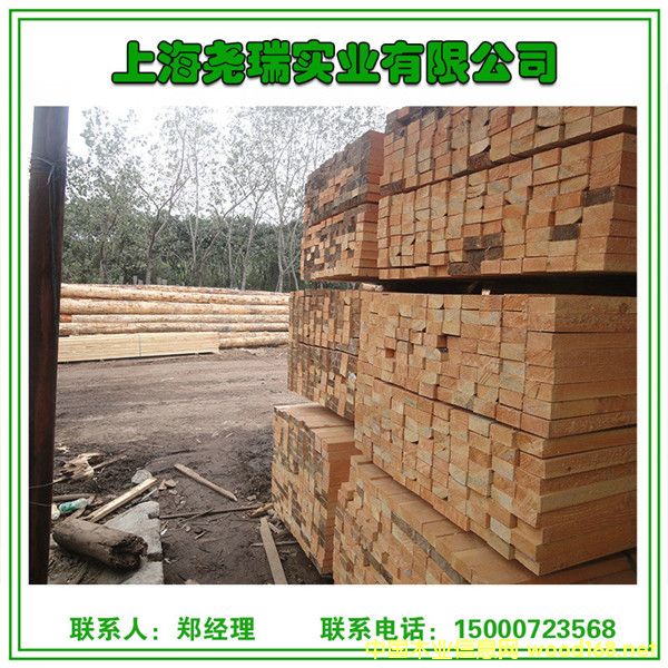 ������  �S��ֱ�N ��(y��u)�|ľ�Ěgӭ���R��Ԕ����B