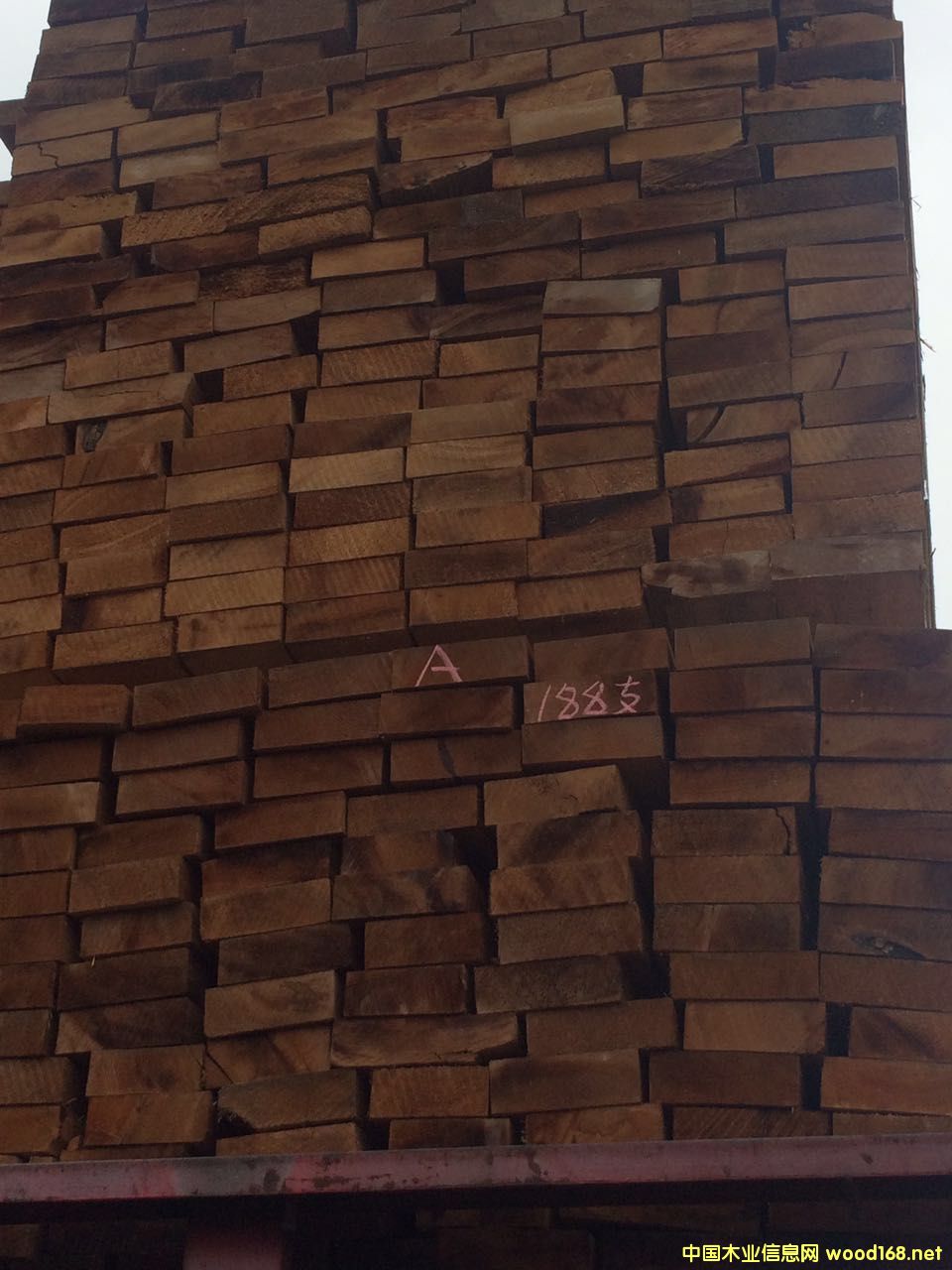 [��] �o��(ji��)�Fɼ�����