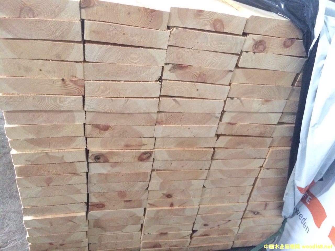 [��] �����������ɵ̓r��(y��u)��