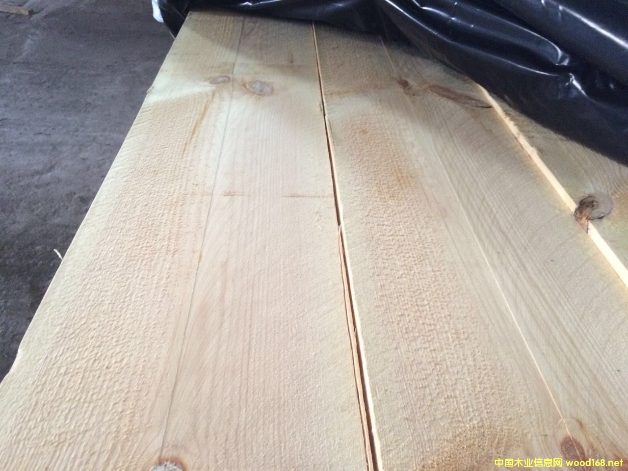 [��] �����������ɵ̓r��(y��u)��