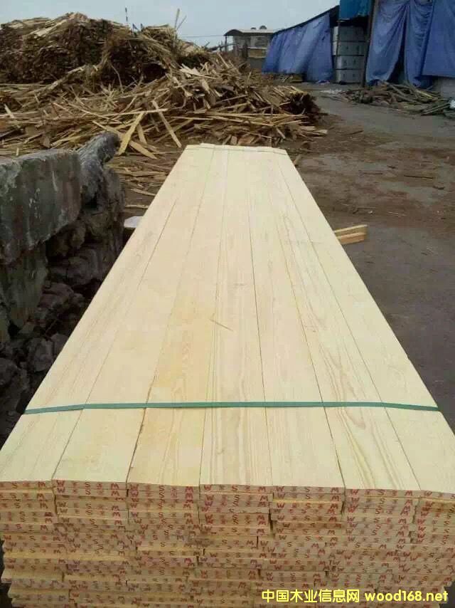 �����ɟo(w��)��(ji��)�����l(f��)