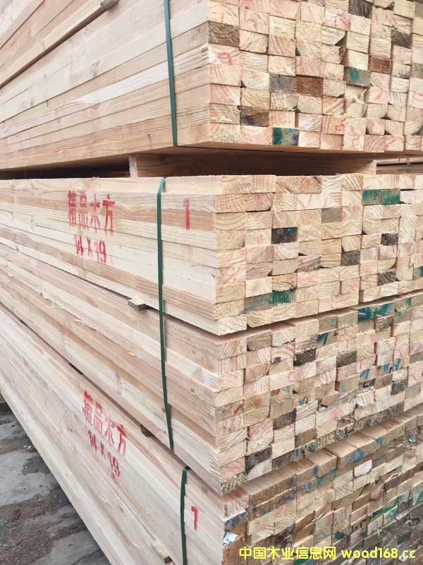 ������ľ��