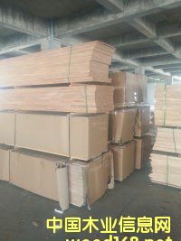 �c(di��n)���鿴��ľƴ��Ŵ�DƬ