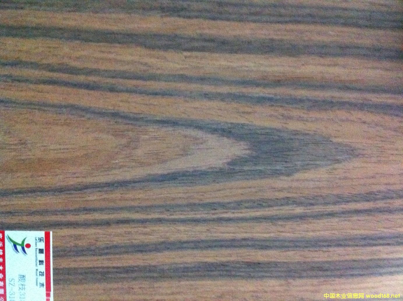 ��֦318C��Ԕ��(x��)��B