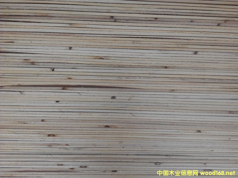 ɼľ�����Ԕ��(x��)��B