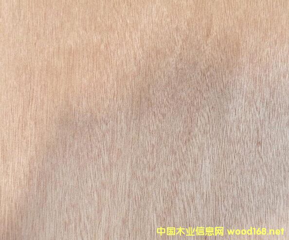 �t�ϙ��Ԕ��(x��)��B