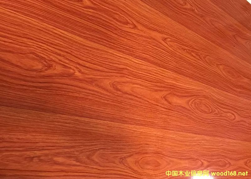 ����(gu��)���ҵ�Ԕ��(x��)��B