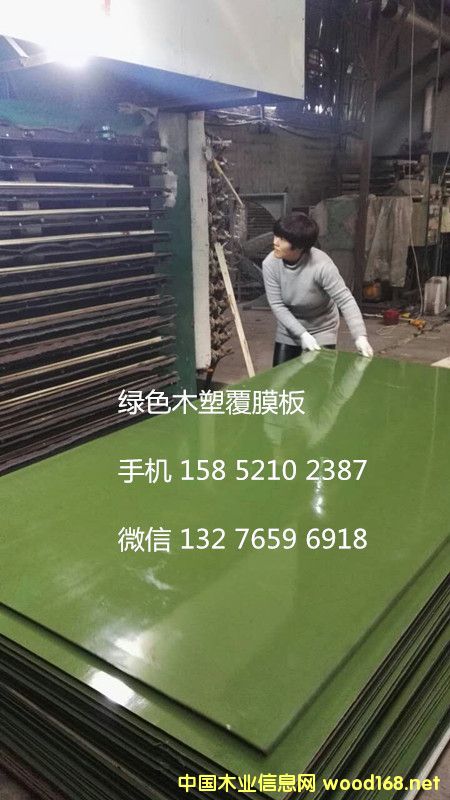 ľ�ܽ����ߙn��Ĥ��