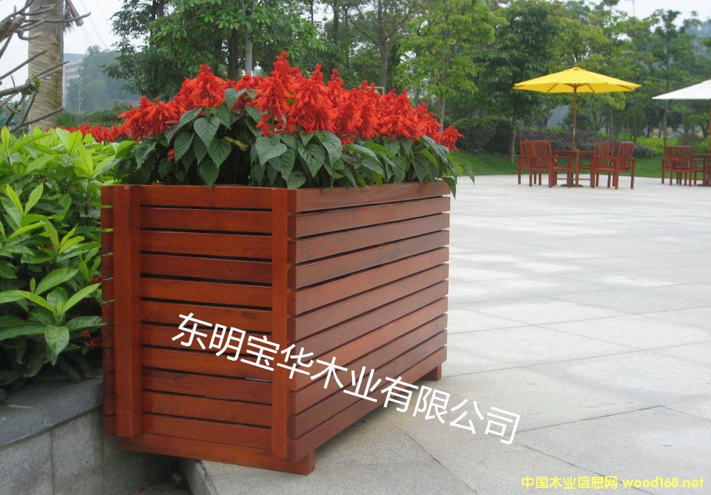 ��ľ����