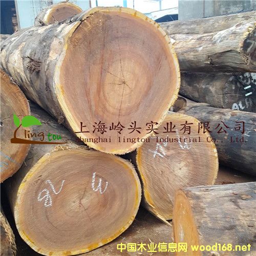 �c���鿴�S����ľ��Ԕ���Y��