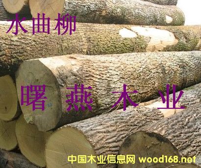 ˮ����ԭľ�������ľ��