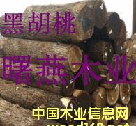 �ں���ľԭľ����ģ�ľ��