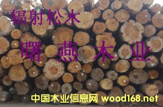 �����mݗ���ɵ�Ԕ��(x��)��B