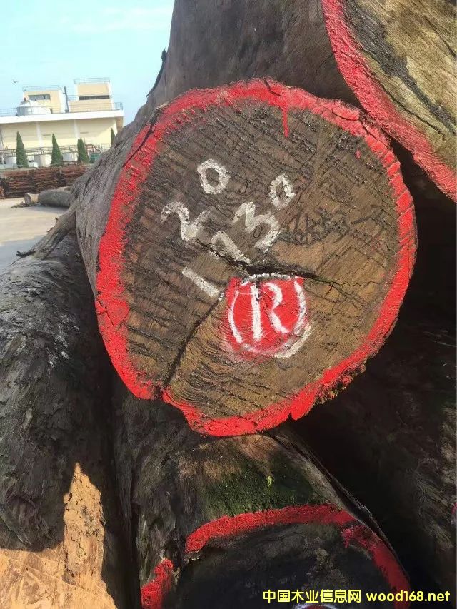 �M(j��n)��ԭľ��Ԕ��(x��)��B