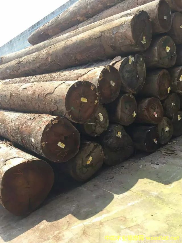 �����sľ���l(f��)��Ԕ��(x��)��B