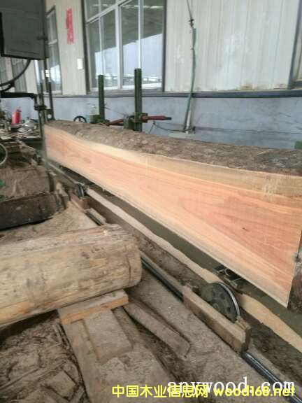 õ��ľ��Ԕ����B