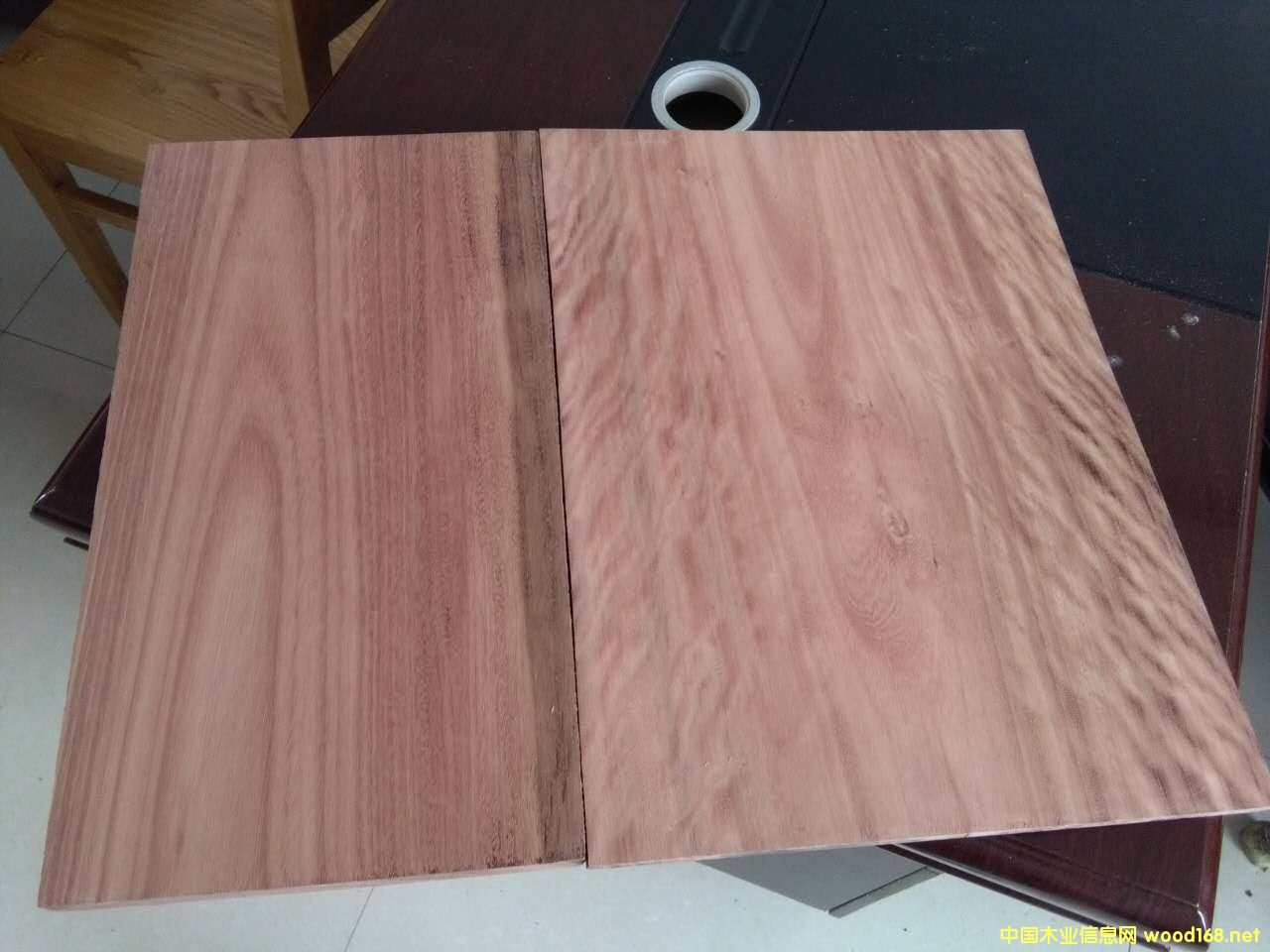 õ��ľ��Ԕ����B