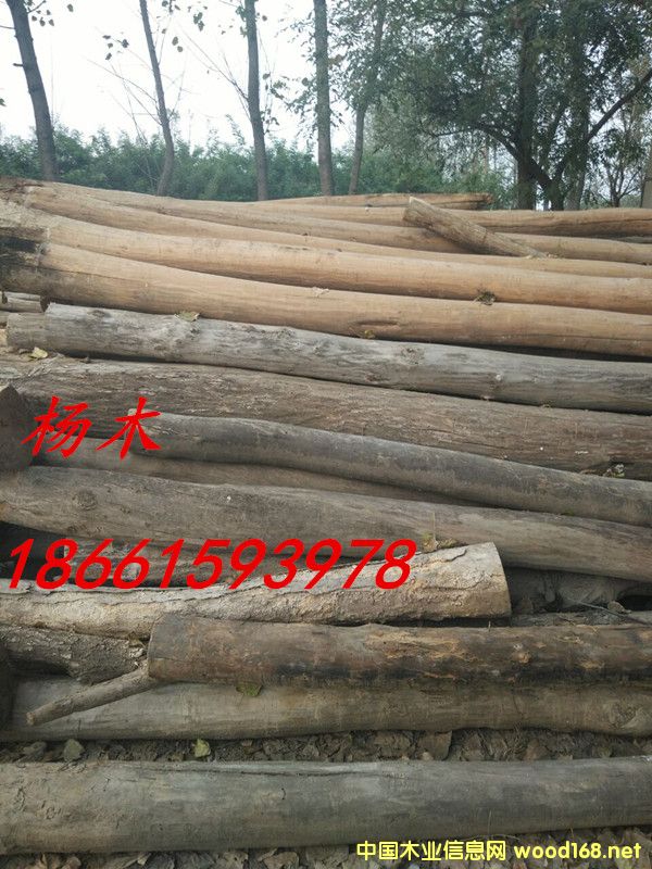 ��ľ��Ԕ��(x��)��B