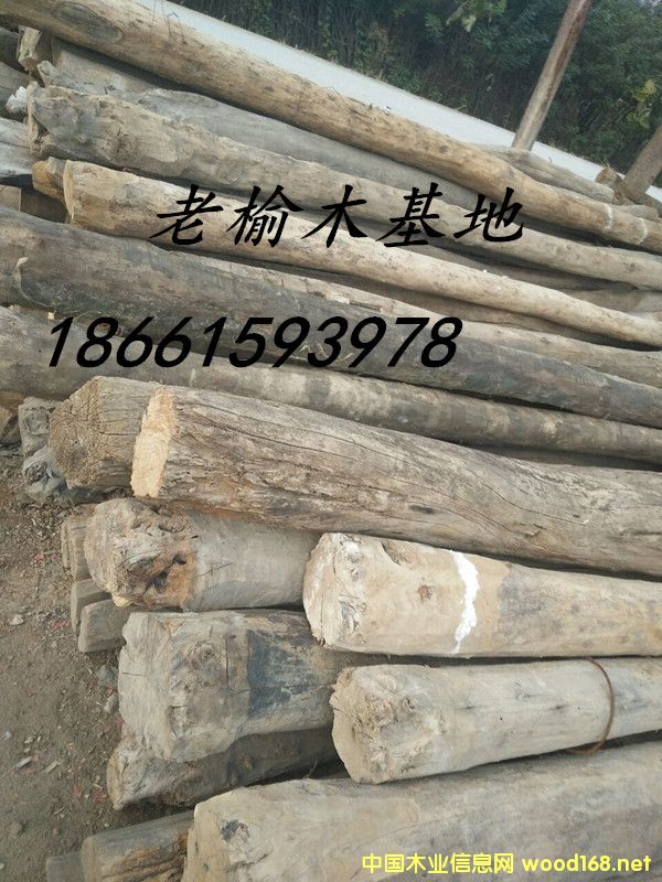 ����ľ02��Ԕ��(x��)��B