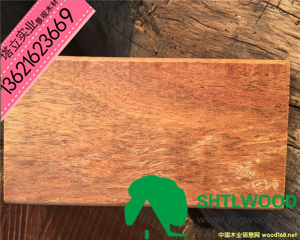 �̈́�ľ �S��ľ ľ�Y(ji��)��(g��u) ���^�@�� ����ľ�ذ�