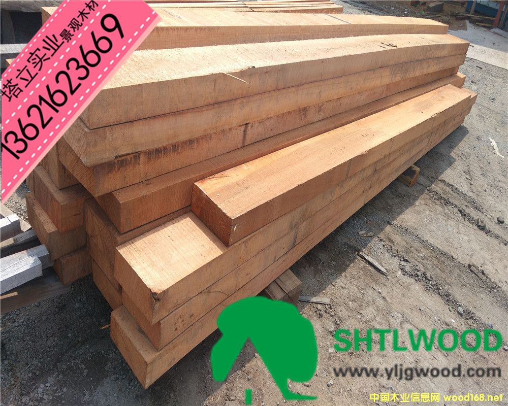 ��������ľ���M��ľ��������ذ�