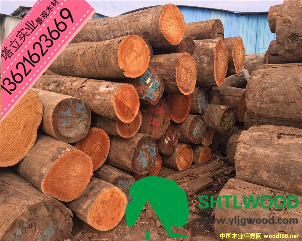 �̈́�ľ���t��ľ���t�������͵�ľ����ľ���y��ľ���ڂ�������ľ