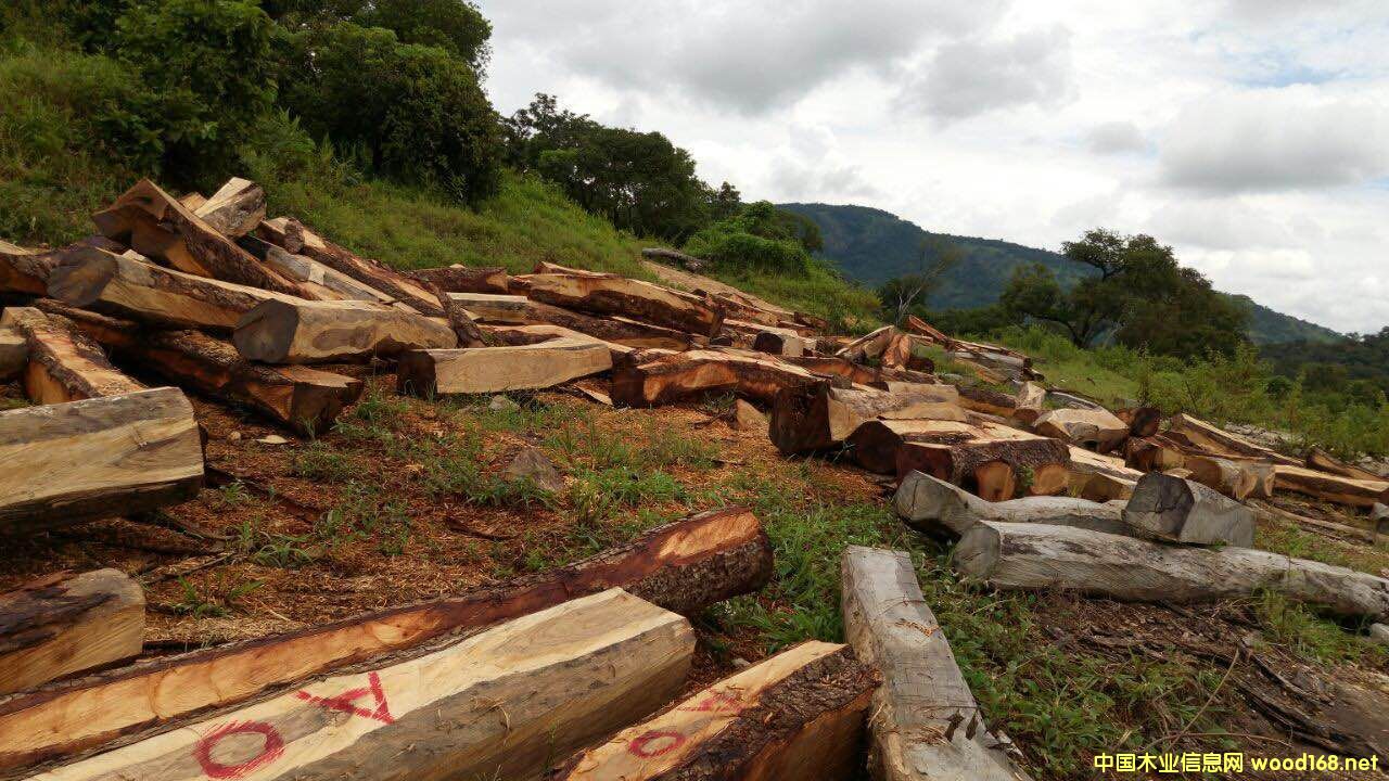 ���������S�����Ԕ��(x��)��B