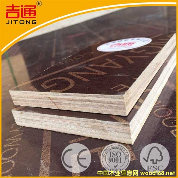 桉木板的詳細(xì)介紹