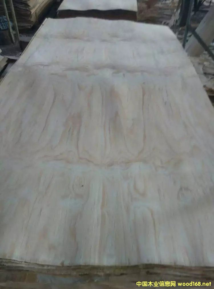 ݗ�����L(zh��ng)�а�