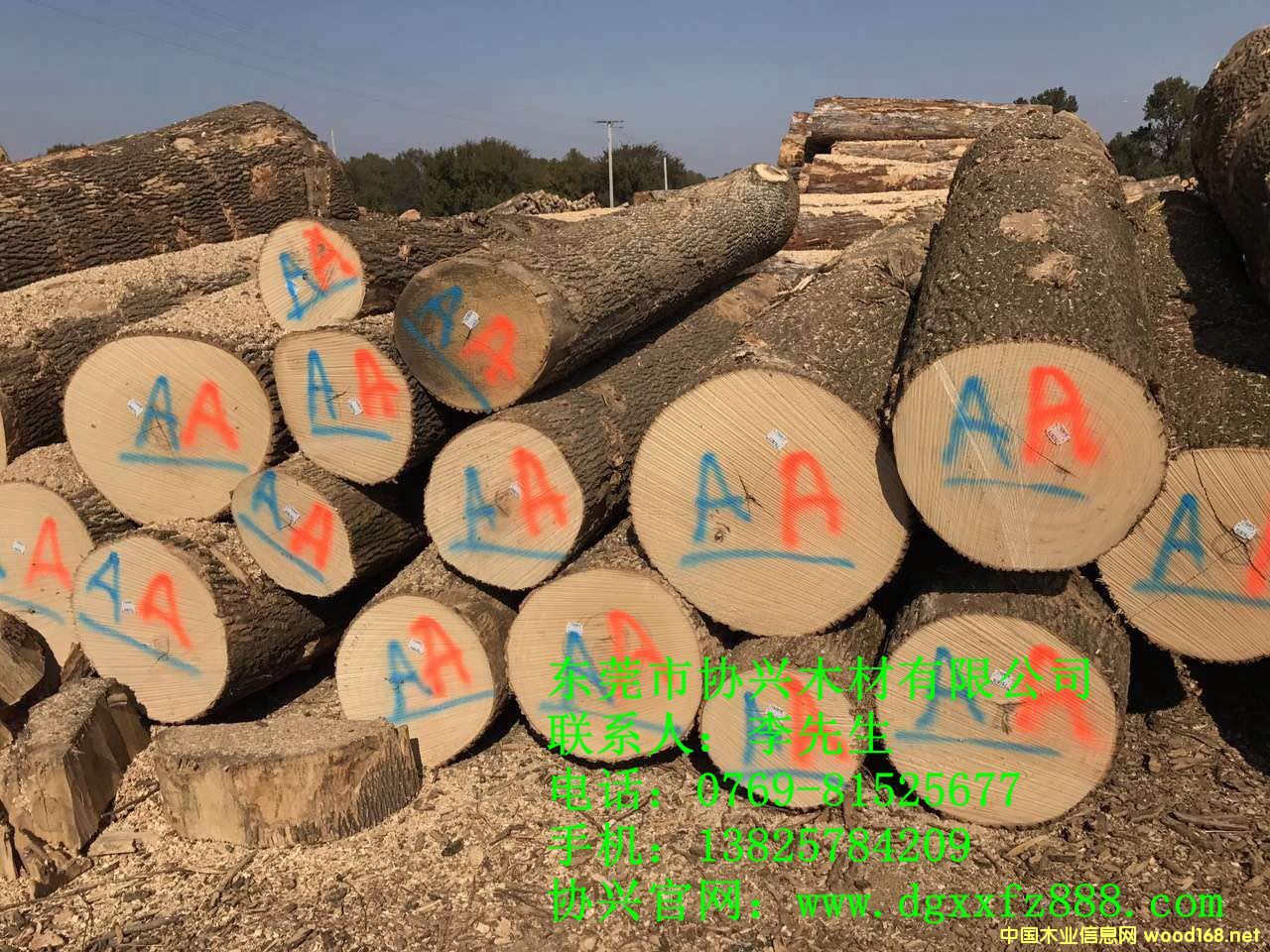 �����M�ڰ�Ϟ?z��i)��r��